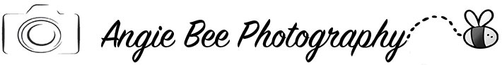 AngieBeePhotography Logo